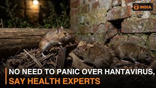Hantavirus explained: Experts say no need to panic, maintain precautions
