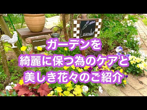 夏の球根をいつ、どのように植えるのですか？シンプルなガイドを自由にご利用いただけます  庭園
