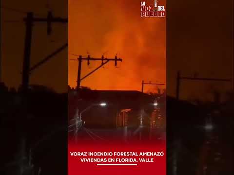 🚨 VORAZ INCENDIO FORESTAL AMENAZÓ VIVIENDAS EN FLORIDA, VALLE