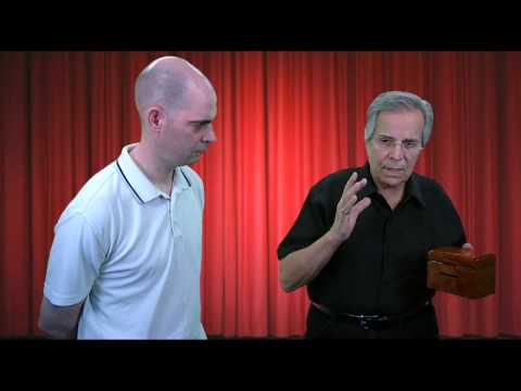 Mighty Mini Chameleon by Tony Curtis, Larry Becker