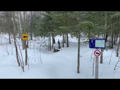 Got a little lost in Lindsay Tract Trail