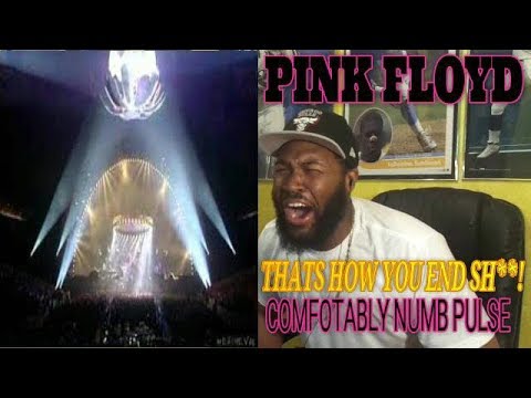 THIS NEVER HAPPENED TO ME BEFORE! | Pink Floyd - Comfortably Numb PULSE -REACTION