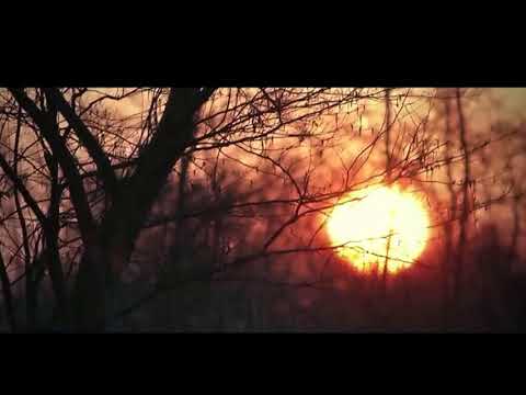 Tenu vekh vehk ke dil mare parda na full song