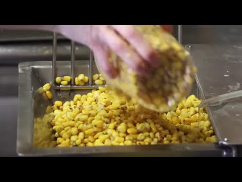 download lagu mp3 mp4 How Did The Aztecs Make Tortillas, download lagu How Did The Aztecs Make Tortillas gratis, unduh video klip How Did The Aztecs Make Tortillas