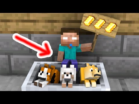 Baby Herobrine and Dog - Sad Story - Minecraft Animation