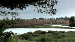 Moby Dick : Peter Anderson Studio