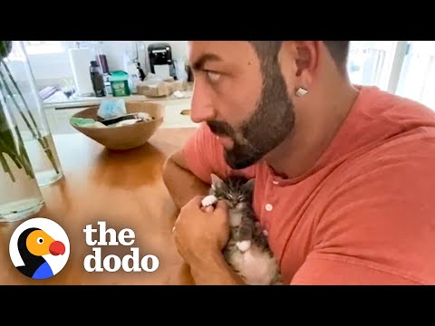 Phone-Sized Kitten Turns Guy Into A Cat Person | The Dodo Little But Fierce