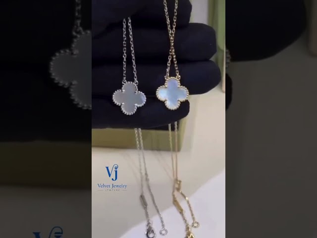 سلسال الورده وسط جميع الاحجار