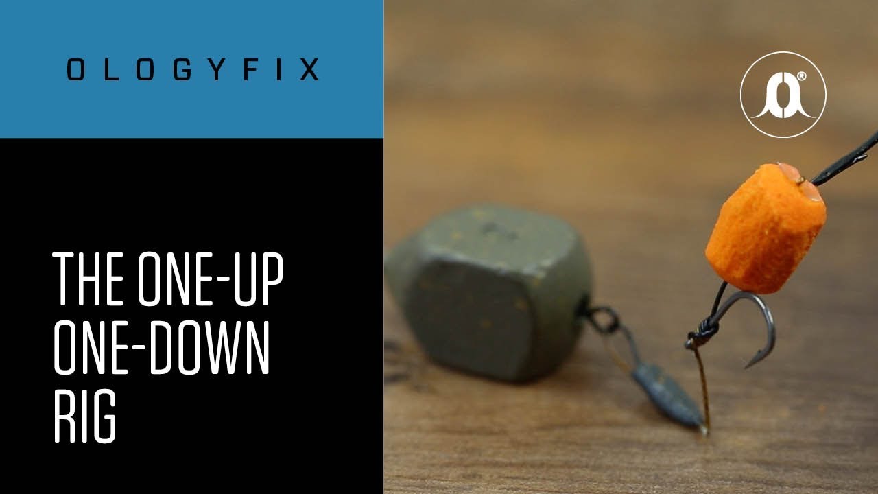 How to tie the one up, one down rig