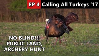 Gobbler Race! - Public Land Archery Hunt - Calling All Turkeys