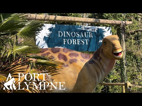 Port Lympne DINOSAUR FOREST walkthrough 2025