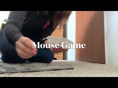Hercules playing Mouse Game by Absolute Dogs