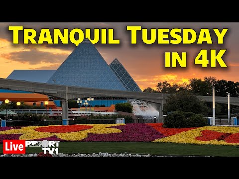 🔴4K Live: Tranquil Tuesday at Epcot in 4K - Walt Disney World Live Stream - 5-14-24