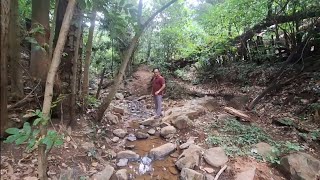 AS MARAVILHAS DA NATUREZA, VEJA ESSA NASCENTE DE ÁGUA EM CIMA DA MONTANHA
