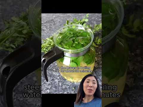 lemon balm recipe 🍵