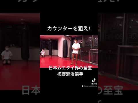 梅野源治選手解説！高確率で自分の攻撃を当てる方法