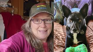 RV Trip through Small Town America with my Dog Sadie (Breed Reveal)