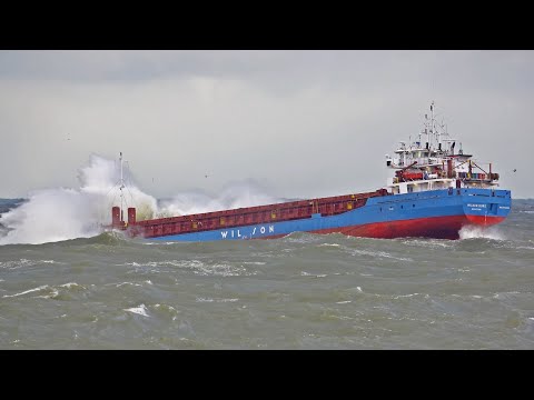 GIANTS AT SEA – IMPRESSIVE SHIP SIGHTINGS IN 4K AT ROTTERDAM PORT
