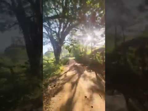 MTB RAIZ #mtb #mtbraiz #niner #NinerBikesOfficial - Giro Final de Semana - Cardoso Moreira - RJ