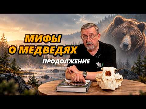 Мифы о медведях, часть 2. Рассказывает Михаил Кречмар