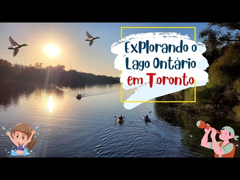 Explorando o Lago Ontário em Toronto:  Uma Jornada de Beleza Natural da cidade