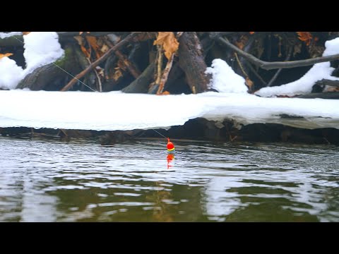 Creek Fishing for WINTER Steelhead! Bobber Down Action