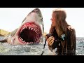3 scènes qui prouvent que The Shallows est l'un des films de requins les plus effrayants depuis Jaws