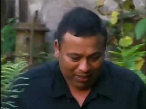 Historia de las palmas chaco 🇦🇷 