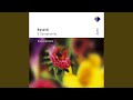 Rosetti : Symphony in D major Kaul I,18, 'La Chasse' : III Menuetto majestoso - Trio - Menuetto