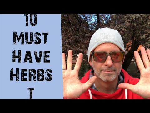 Camping packing list for autumn 🍂 10 must-haves