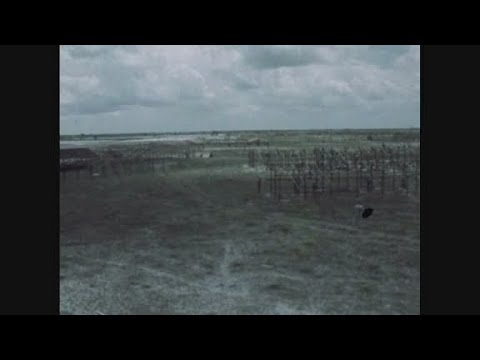 News Item (01ec75e1-4641-1c06-7f27-8740a380c8fb)