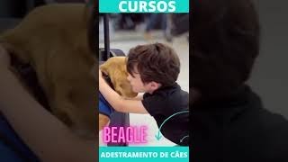 INCRVEL COMO ESTE CACHORRO  DCIL #SHORTS