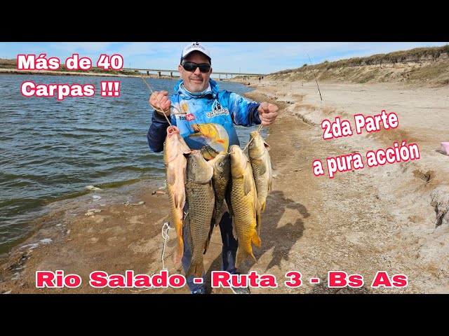 Vídeo relacionado con Red de aterrizaje de pesca de carpas de 42 pulgadas con bloque esparcidor de bolsa de apestas, en negro y verde con una sensación y acabado de lujo, no incluye poste ni mango