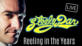 Reeling in the Years - Steely Dan | Live Cover by Steely Fan