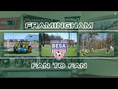 Fan to Fan   BESA 2021