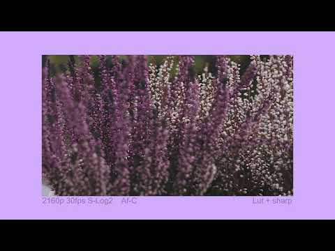 Sony FE 50mm F1.8 Lens (SEL50F18F) | Unboxing and Review w/ Sony a6500 (apsc) 4K