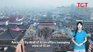 12 Days China Panda Tour: Beijing, Xi&amp;#39;an, Chengdu, Guilin, Shanghai