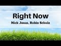 Nick Jonas, Robin Schulz - Right Now (Lyrics) | Panda Music Nick Jonas, Robin Schulz - Right Now (Lyrics) | Panda Music
