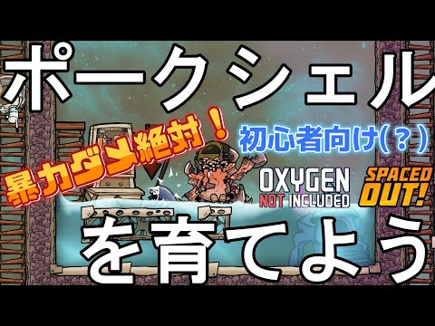 イノシシを追い払う: これらのヒントが役立ちます 自然と動物
