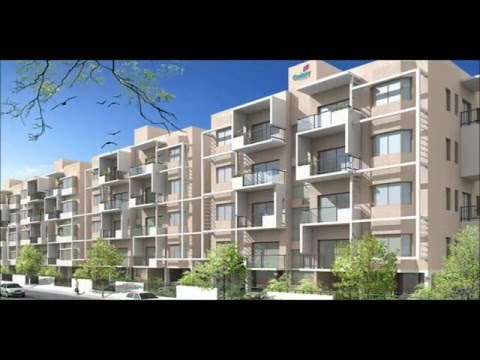 Century Linea Project Tour 1