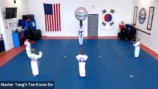 Live Class - Little Tigers & Yellow Stripe - 5.29.20 @ 5:15pm