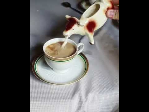 download lagu mp3 mp4 Cow Coffee Creamer, download lagu Cow Coffee Creamer gratis, unduh video klip Cow Coffee Creamer