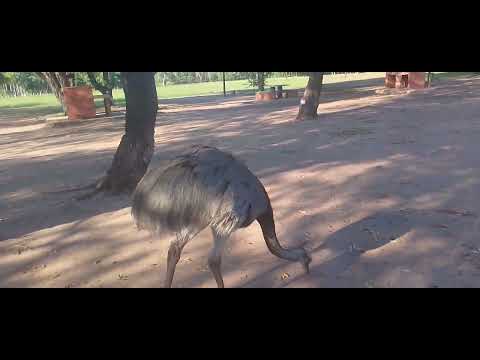 En bicicleta por Formosa argentina , desde general Manuel belgrano hasta laguna yema Formosa 