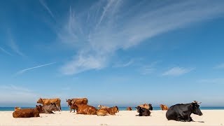 "Soy español", de José Manuel Soto