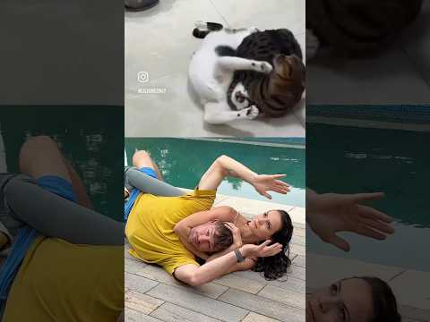 Learning WWE from cats with ​⁠@Hingaflips