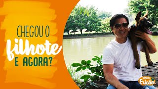 MEU FILHOTE CHEGOU EM CASA, E AGORA?   FAMÍLIA ERICÃO