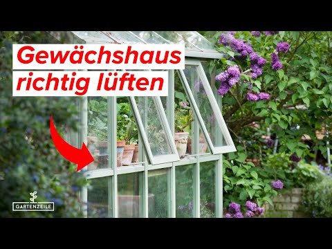 Gewächshaus richtig lüften - Darauf MUSST du achten - So bleiben deine Pflanzen gesund!