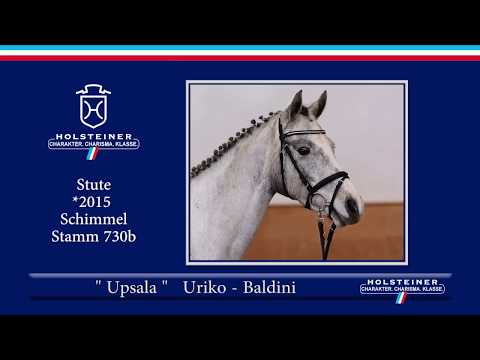 12 | Upsala v. Uriko - Baldini I