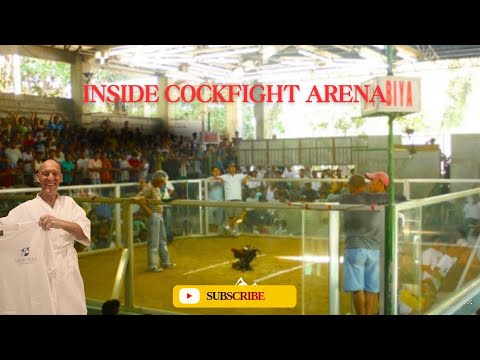 Inside Cockfighting in Valencia, Negros Philippines – Shocking Traditions | Franks World
