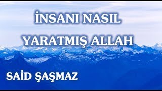 Said Şaşmaz - İnsanı Nasıl Yaratmış Allah